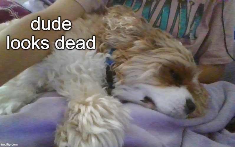 . | dude looks dead | made w/ Imgflip meme maker