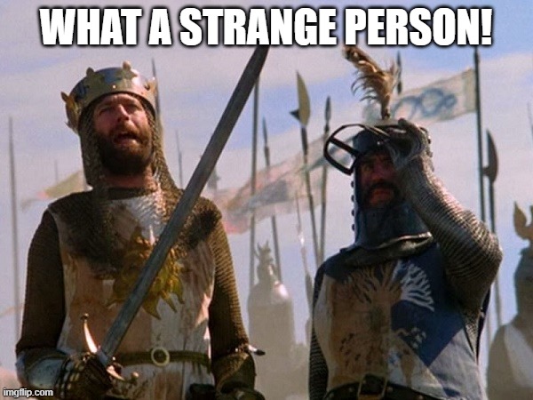 Monty Python King Arthur | WHAT A STRANGE PERSON! | image tagged in monty python king arthur | made w/ Imgflip meme maker