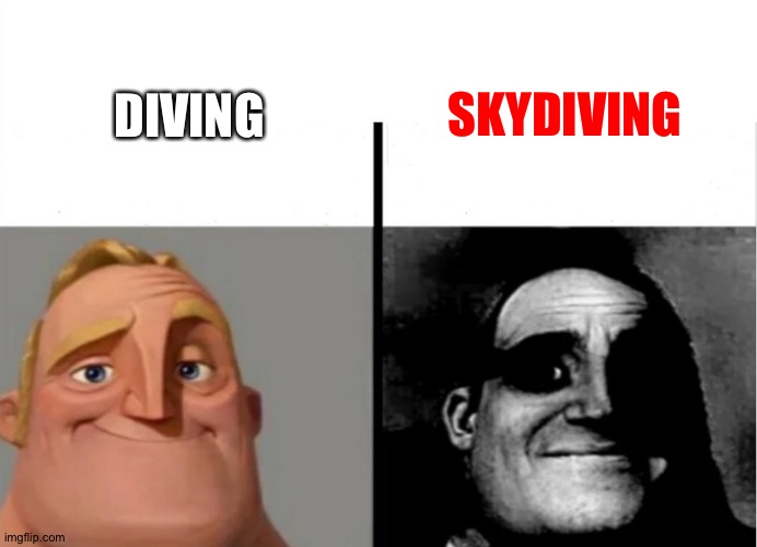 meme for people who have no guts |  SKYDIVING; DIVING | image tagged in teacher's copy,skydiving | made w/ Imgflip meme maker