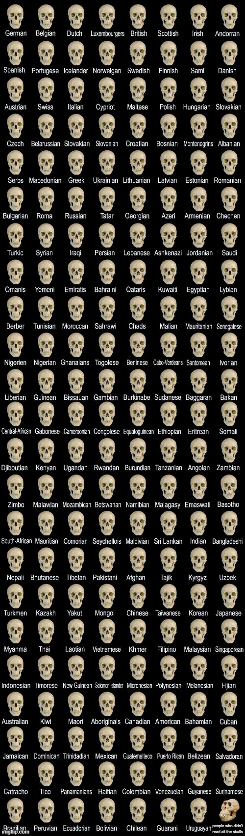 clever meme title | people who didn't read all the skulls | image tagged in deformed skull | made w/ Imgflip meme maker