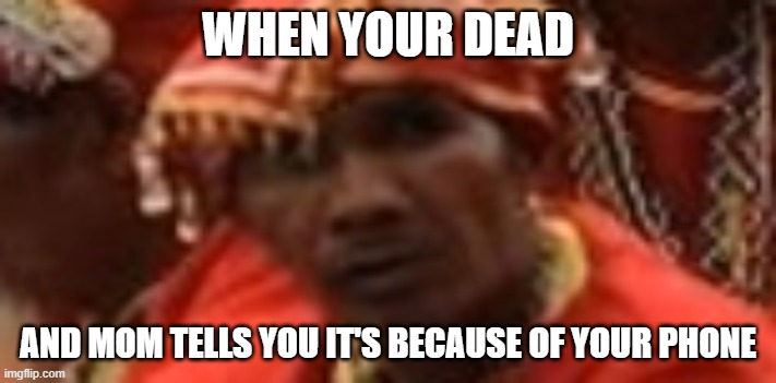 Mom | WHEN YOUR DEAD; AND MOM TELLS YOU IT'S BECAUSE OF YOUR PHONE | image tagged in memes,relatable memes | made w/ Imgflip meme maker