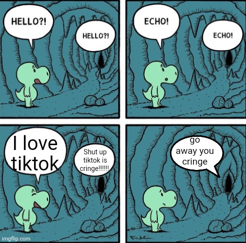 .. | go away you cringe; I love tiktok; Shut up tiktok is cringe!!!!!! | image tagged in echo,memes,tiktok sucks,lol,no tags here | made w/ Imgflip meme maker