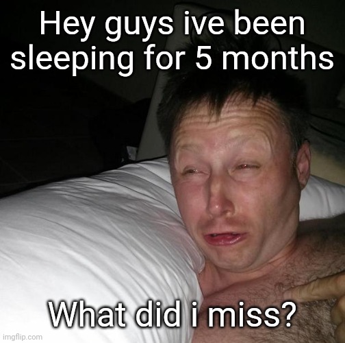 My last meme was 5 months ago |  Hey guys ive been sleeping for 5 months; What did i miss? | image tagged in limmy waking up | made w/ Imgflip meme maker
