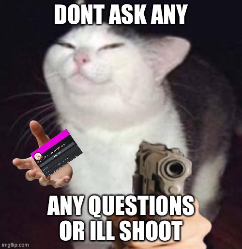 He wont like you asking questions | image tagged in cat,gun | made w/ Imgflip meme maker