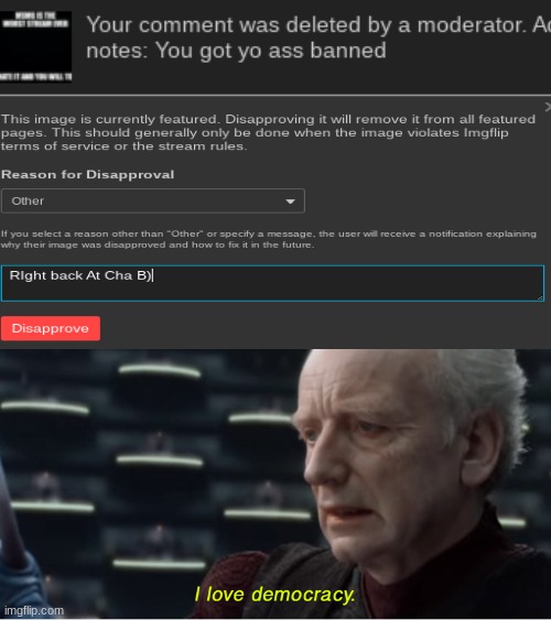 okay gn chat | image tagged in i love democracy | made w/ Imgflip meme maker