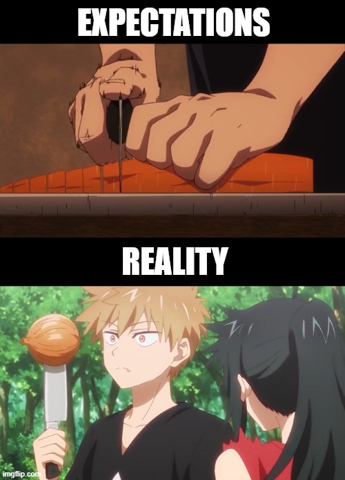 Reality is often disappointing | EXPECTATIONS; REALITY | image tagged in memes,anime,manga,Animemes | made w/ Imgflip meme maker