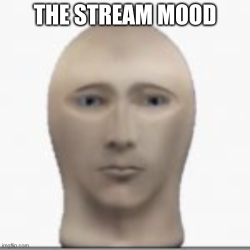 B A L L S A C K | THE STREAM MOOD | image tagged in front facing meme man | made w/ Imgflip meme maker