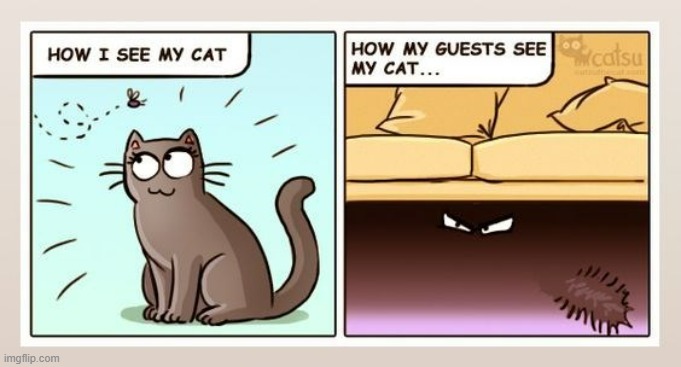 Something Else | image tagged in memes,comics,cats,how,people,see | made w/ Imgflip meme maker