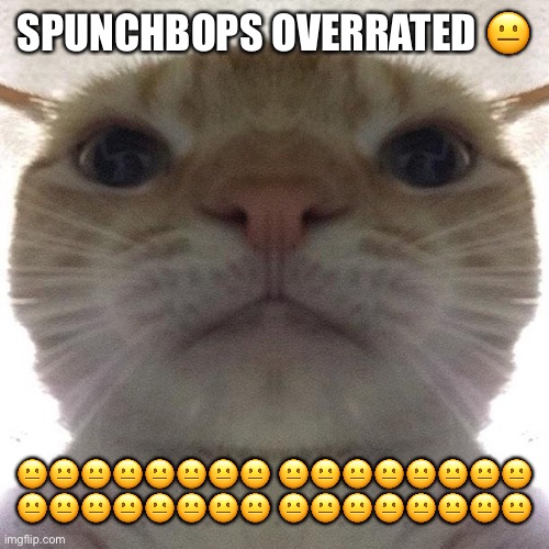 Staring Cat/Gusic | SPUNCHBOPS OVERRATED 😐; 😐😐😐😐😐😐😐😐 😐😐😐😐😐😐😐😐 😐😐😐😐😐😐😐😐 😐😐😐😐😐😐😐😐 | image tagged in staring cat/gusic | made w/ Imgflip meme maker