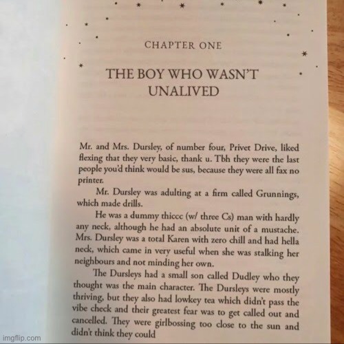First page of Harry Potter in gen z speak | made w/ Imgflip meme maker