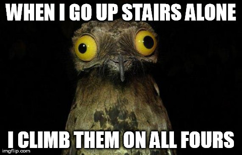 Weird Stuff I Do Potoo Meme | WHEN I GO UP STAIRS ALONE I CLIMB THEM ON ALL FOURS | image tagged in memes,weird stuff i do potoo,AdviceAnimals | made w/ Imgflip meme maker
