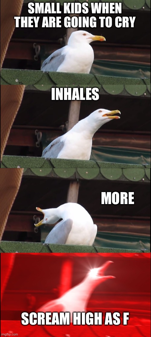 My ears are bleeding |  SMALL KIDS WHEN THEY ARE GOING TO CRY; INHALES; MORE; SCREAM HIGH AS F | image tagged in memes,inhaling seagull | made w/ Imgflip meme maker