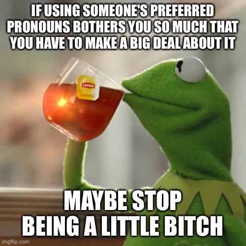 But That's None Of My Business Meme | IF USING SOMEONE'S PREFERRED PRONOUNS BOTHERS YOU SO MUCH THAT YOU HAVE TO MAKE A BIG DEAL ABOUT IT; MAYBE STOP BEING A LITTLE BITCH | image tagged in memes,but that's none of my business,kermit the frog | made w/ Imgflip meme maker