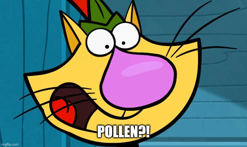 POLLEN?! | made w/ Imgflip meme maker