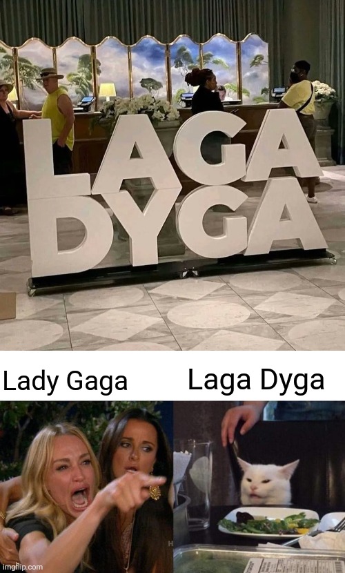 Lady Gaga; Laga Dyga | image tagged in memes,woman yelling at cat,lady gaga | made w/ Imgflip meme maker