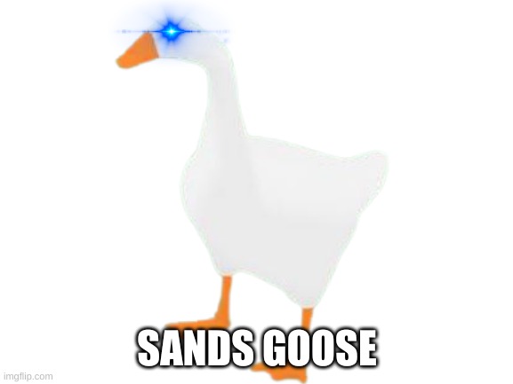 SANDS GOOSE | image tagged in goose | made w/ Imgflip meme maker