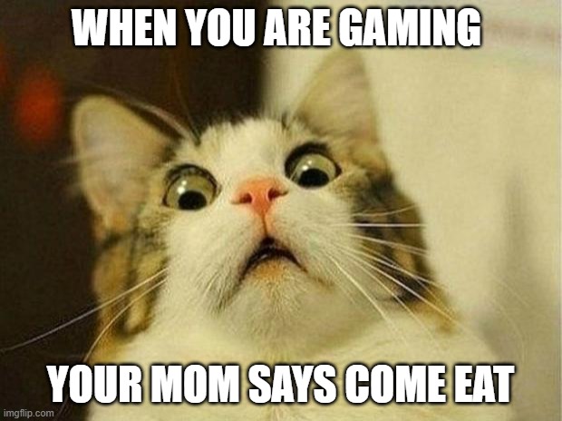 cat meme |  WHEN YOU ARE GAMING; YOUR MOM SAYS COME EAT | image tagged in memes,scared cat | made w/ Imgflip meme maker