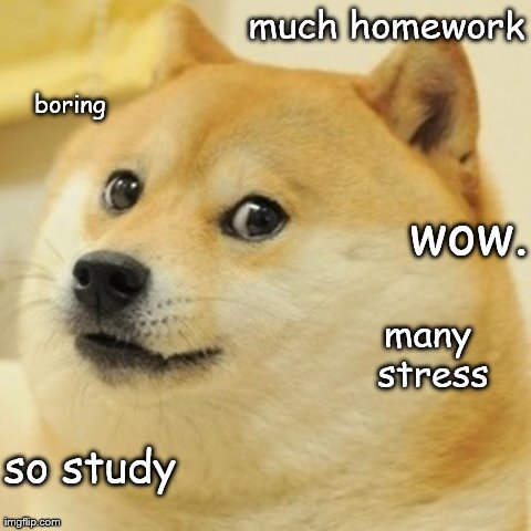 Homework | much homework so study wow. many stress boring | image tagged in memes,doge | made w/ Imgflip meme maker