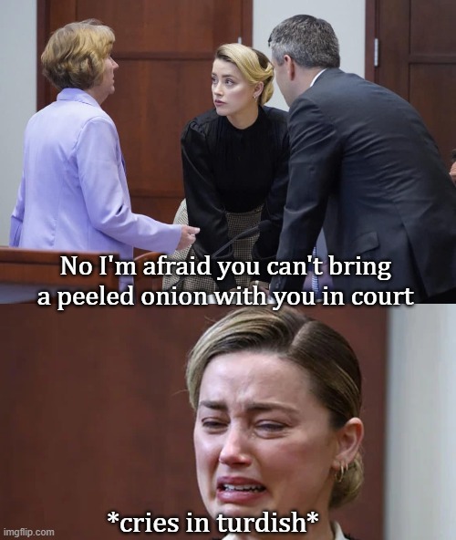 Amber Heard |  No I'm afraid you can't bring a peeled onion with you in court; *cries in turdish* | image tagged in amber heard,funny,lawyers,courtroom | made w/ Imgflip meme maker