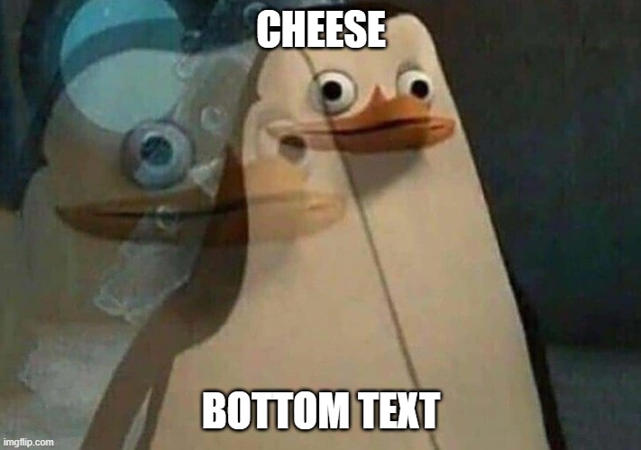 private penguin existential crisis |  CHEESE; BOTTOM TEXT | image tagged in penguin,cheese | made w/ Imgflip meme maker