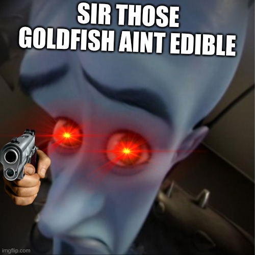 no eat goldfash | SIR THOSE GOLDFISH AINT EDIBLE | image tagged in megamind peeking,sir those goldfish,hmmmmmmm | made w/ Imgflip meme maker