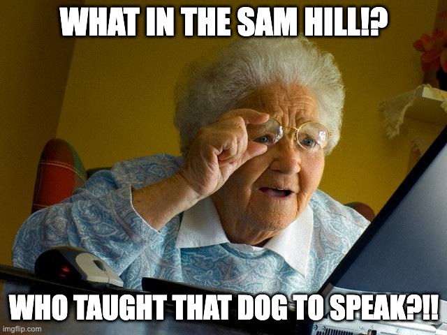 Grandma, It's a voiceover. -_- | WHAT IN THE SAM HILL!? WHO TAUGHT THAT DOG TO SPEAK?!! | image tagged in memes,grandma finds the internet | made w/ Imgflip meme maker
