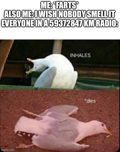 *farts* | ME: *FARTS*
ALSO ME: I WISH NOBODY SMELL IT
EVERYONE IN A 59372847 KM RADIO: | image tagged in inhales dies bird,memes,funny,gifs,cats | made w/ Imgflip meme maker