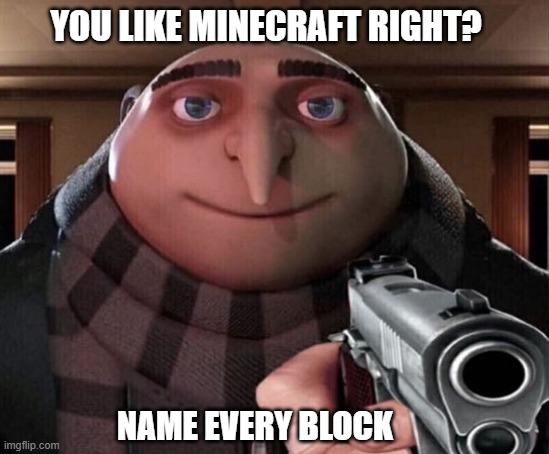 Gru Gun | YOU LIKE MINECRAFT RIGHT? NAME EVERY BLOCK | image tagged in gru gun | made w/ Imgflip meme maker