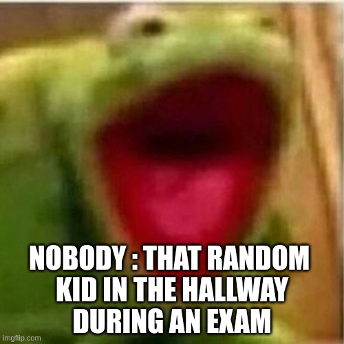 it was worth 50% of our grade ... | NOBODY : THAT RANDOM 
KID IN THE HALLWAY
DURING AN EXAM | image tagged in ahhhhhhhhhhhhh | made w/ Imgflip meme maker