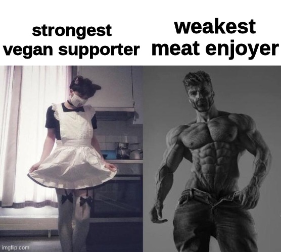 eat meat | strongest vegan supporter; weakest meat enjoyer | image tagged in strongest fan vs weakest fan | made w/ Imgflip meme maker