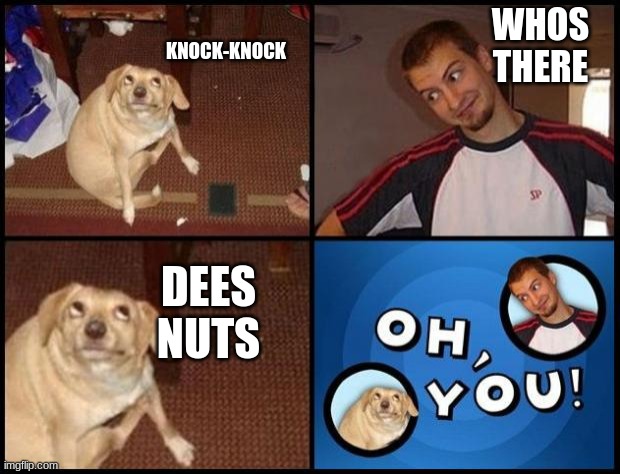 deeeeeeeeeeeeeeeeeeeeeeeeeeeeeeeeeeeeeeez | WHOS THERE; KNOCK-KNOCK; DEES NUTS | image tagged in oh you | made w/ Imgflip meme maker
