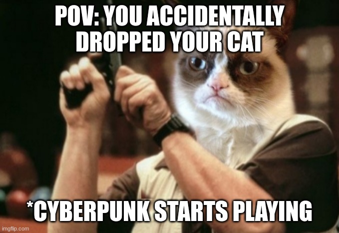 Grumpy cat |  POV: YOU ACCIDENTALLY DROPPED YOUR CAT; *CYBERPUNK STARTS PLAYING | image tagged in grumpy cat | made w/ Imgflip meme maker