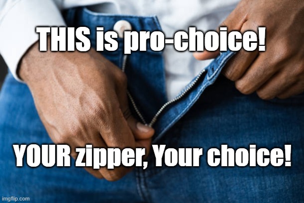 THIS is pro-choice! YOUR zipper, Your choice! | image tagged in zipper,pro-choice | made w/ Imgflip meme maker