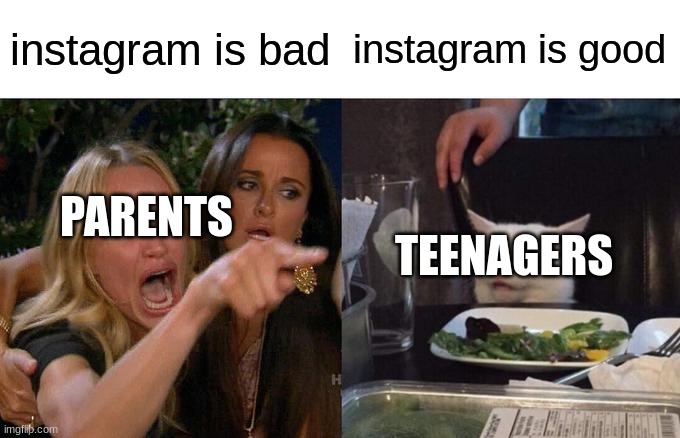 Woman Yelling At Cat Meme | instagram is bad; instagram is good; PARENTS; TEENAGERS | image tagged in memes,woman yelling at cat | made w/ Imgflip meme maker