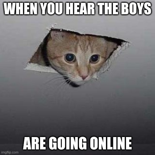 Ceiling Cat Meme | WHEN YOU HEAR THE BOYS; ARE GOING ONLINE | image tagged in memes,ceiling cat | made w/ Imgflip meme maker