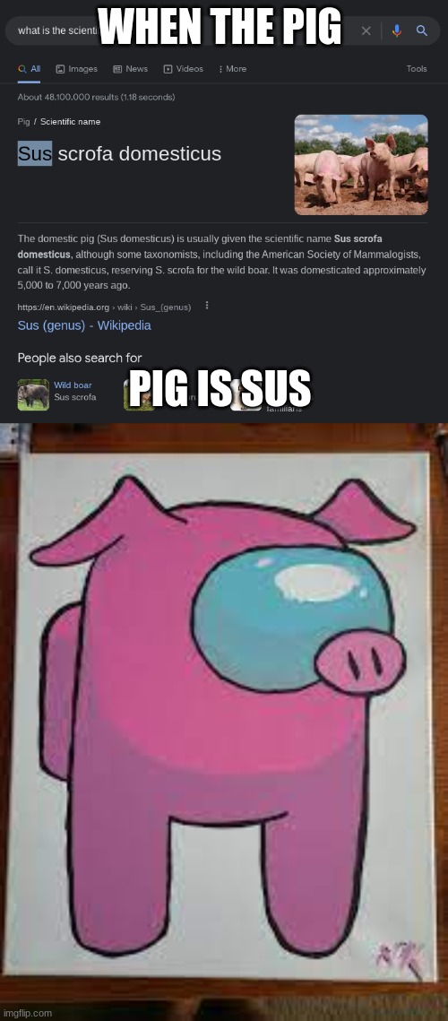 sussy pig | WHEN THE PIG; PIG IS SUS | image tagged in sus,pig | made w/ Imgflip meme maker