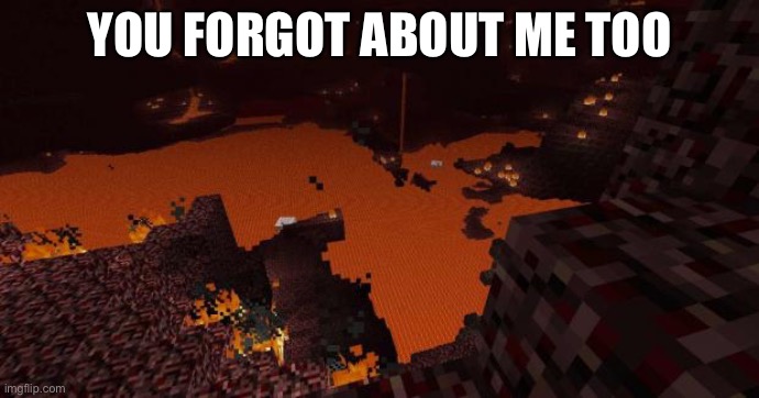 Nether | YOU FORGOT ABOUT ME TOO | image tagged in nether | made w/ Imgflip meme maker