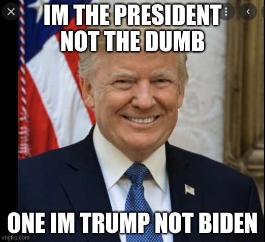 IM THE PRESIDENT NOT THE DUMB; ONE IM TRUMP NOT BIDEN | image tagged in monty python and the holy grail | made w/ Imgflip meme maker