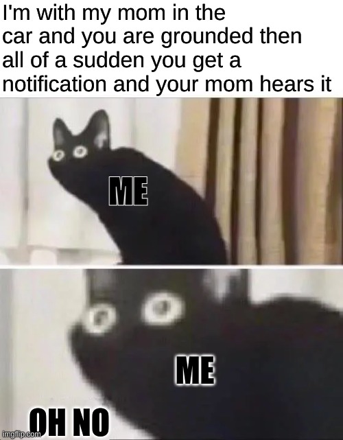 oh no | I'm with my mom in the car and you are grounded then all of a sudden you get a notification and your mom hears it; ME; OH NO; ME | image tagged in oh no black cat | made w/ Imgflip meme maker