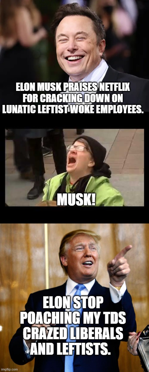 When a pair of great men compete. | ELON MUSK PRAISES NETFLIX FOR CRACKING DOWN ON LUNATIC LEFTIST WOKE EMPLOYEES. MUSK! ELON STOP POACHING MY TDS CRAZED LIBERALS AND LEFTISTS. | image tagged in crazed leftists | made w/ Imgflip meme maker