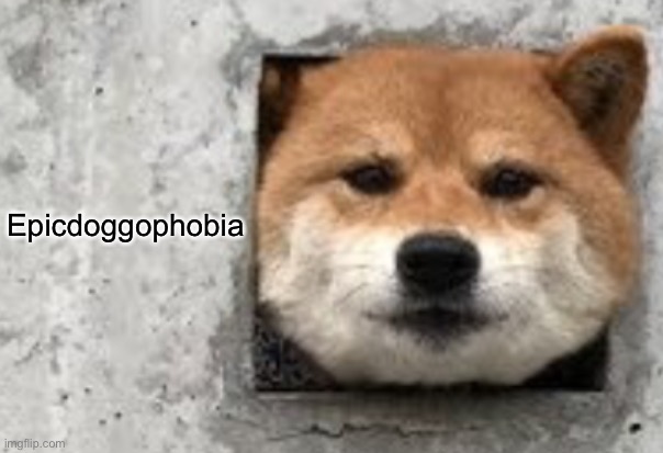 Epicdoggophobia | made w/ Imgflip meme maker