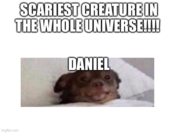 Blank White Template | SCARIEST CREATURE IN THE WHOLE UNIVERSE!!!! DANIEL | image tagged in blank white template | made w/ Imgflip meme maker