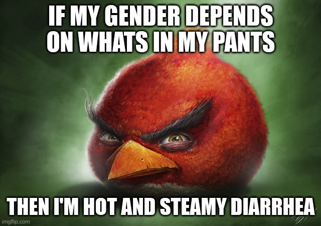 IF MY GENDER DEPENDS ON WHATS IN MY PANTS; THEN I'M HOT AND STEAMY DIARRHEA | made w/ Imgflip meme maker