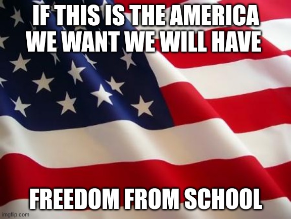 American flag |  IF THIS IS THE AMERICA WE WANT WE WILL HAVE; FREEDOM FROM SCHOOL | image tagged in american flag | made w/ Imgflip meme maker