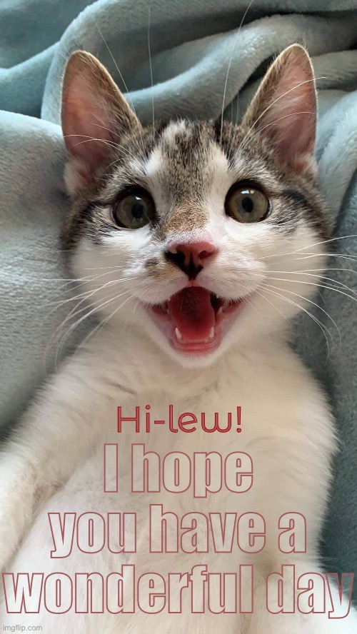 Hi-lew! I hope you have a wonderful day | made w/ Imgflip meme maker