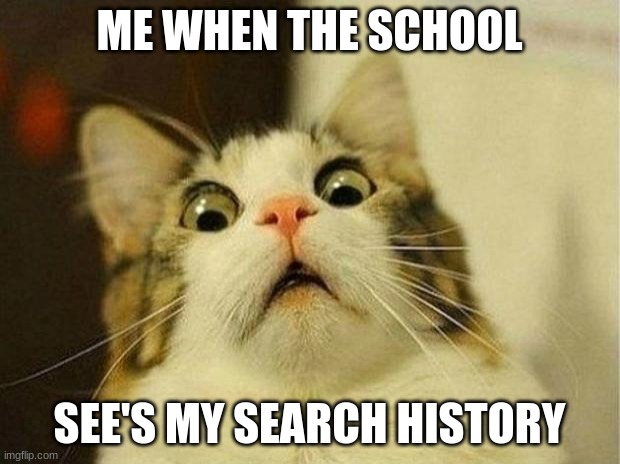Scared Cat | ME WHEN THE SCHOOL; SEE'S MY SEARCH HISTORY | image tagged in memes,scared cat | made w/ Imgflip meme maker