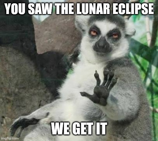No thanks lemur | YOU SAW THE LUNAR ECLIPSE; WE GET IT | image tagged in no thanks lemur,AdviceAnimals | made w/ Imgflip meme maker