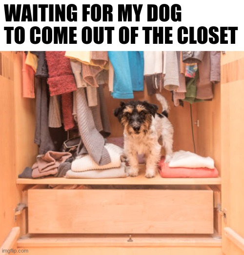 when he gonna come out bro | WAITING FOR MY DOG TO COME OUT OF THE CLOSET | made w/ Imgflip meme maker