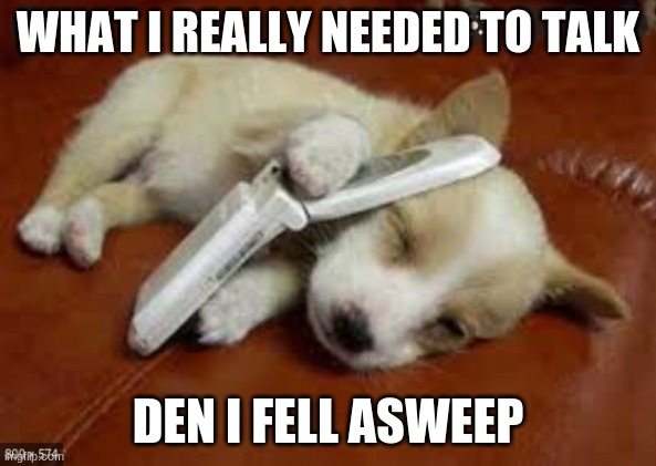 sorry | WHAT I REALLY NEEDED TO TALK; DEN I FELL ASWEEP | image tagged in memes,funny,hi | made w/ Imgflip meme maker