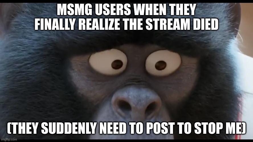 30 seconds. Starting now. | MSMG USERS WHEN THEY FINALLY REALIZE THE STREAM DIED; (THEY SUDDENLY NEED TO POST TO STOP ME) | image tagged in sing 2 johnny stare | made w/ Imgflip meme maker